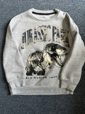 Kids Gray Jurassic Park Graphic Sweatshirt - Dinosaur Crewneck